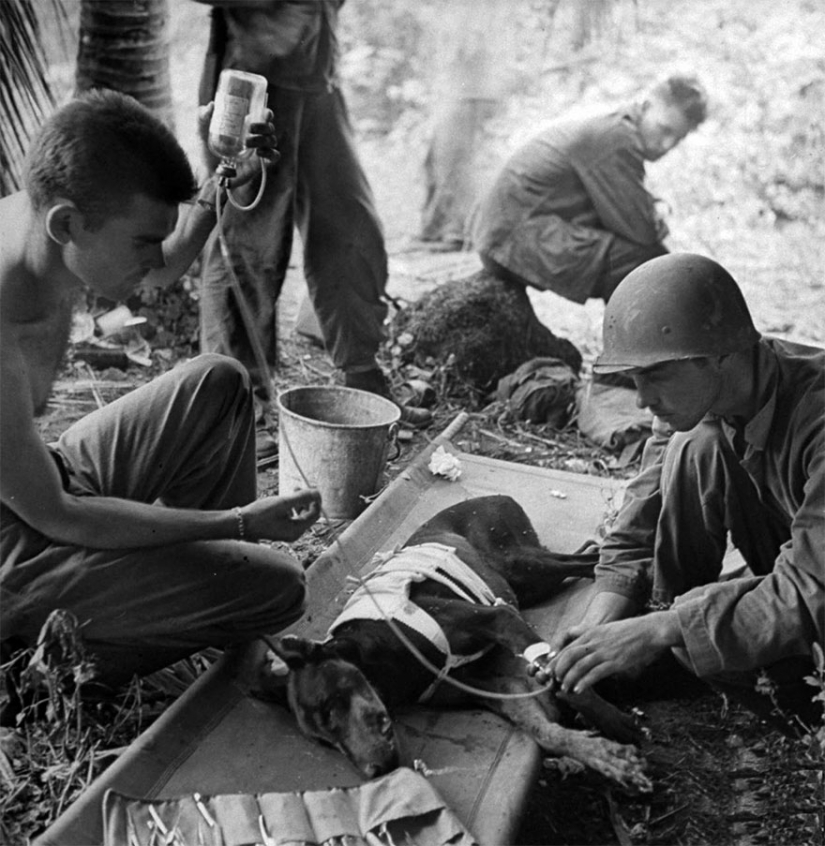 Archive photos that captured rare historical moments