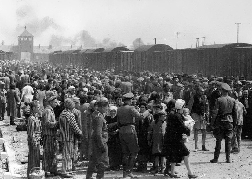 Archive photos that captured rare historical moments