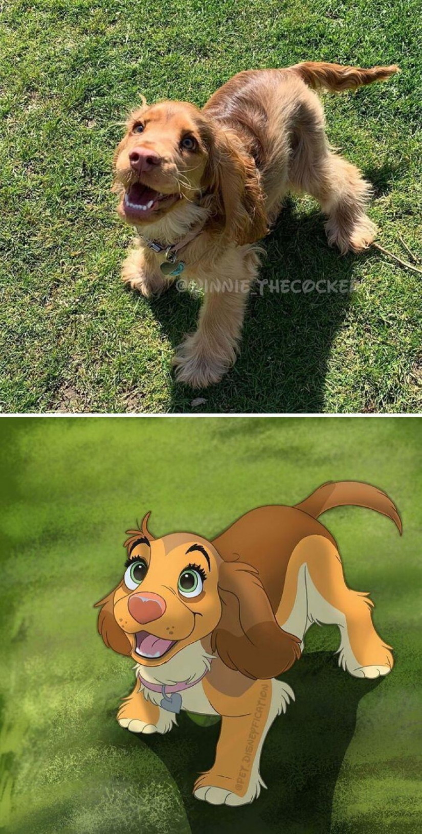 Artista holandés convierte animales en personajes de Disney