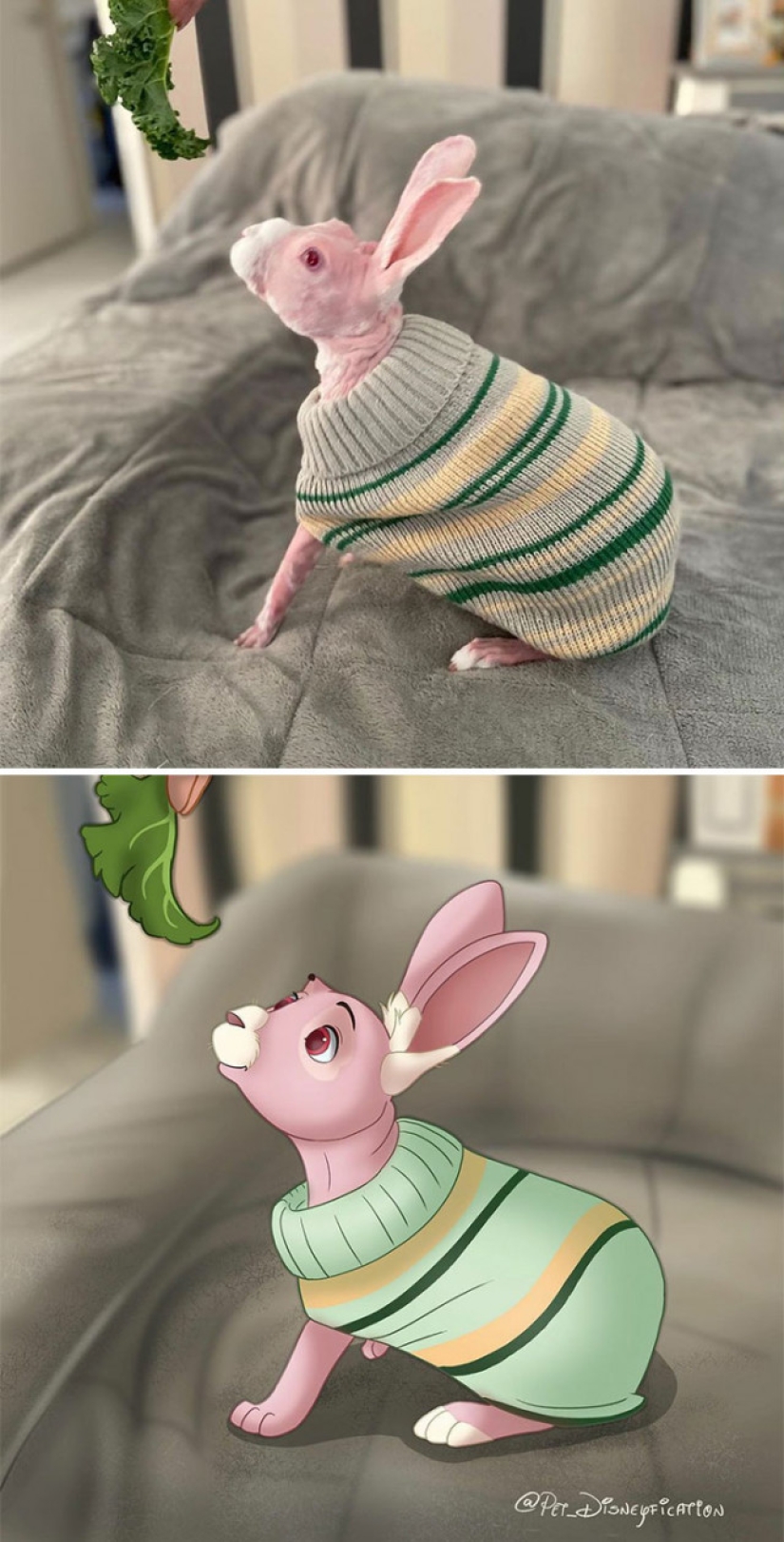 Artista holandés convierte animales en personajes de Disney