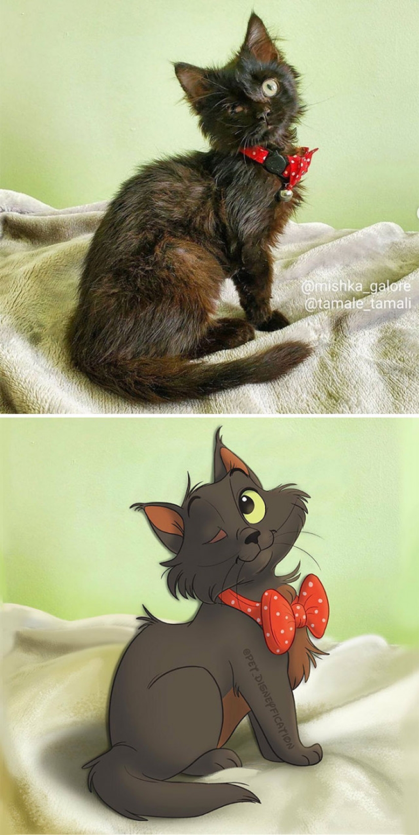 Artista holandés convierte animales en personajes de Disney