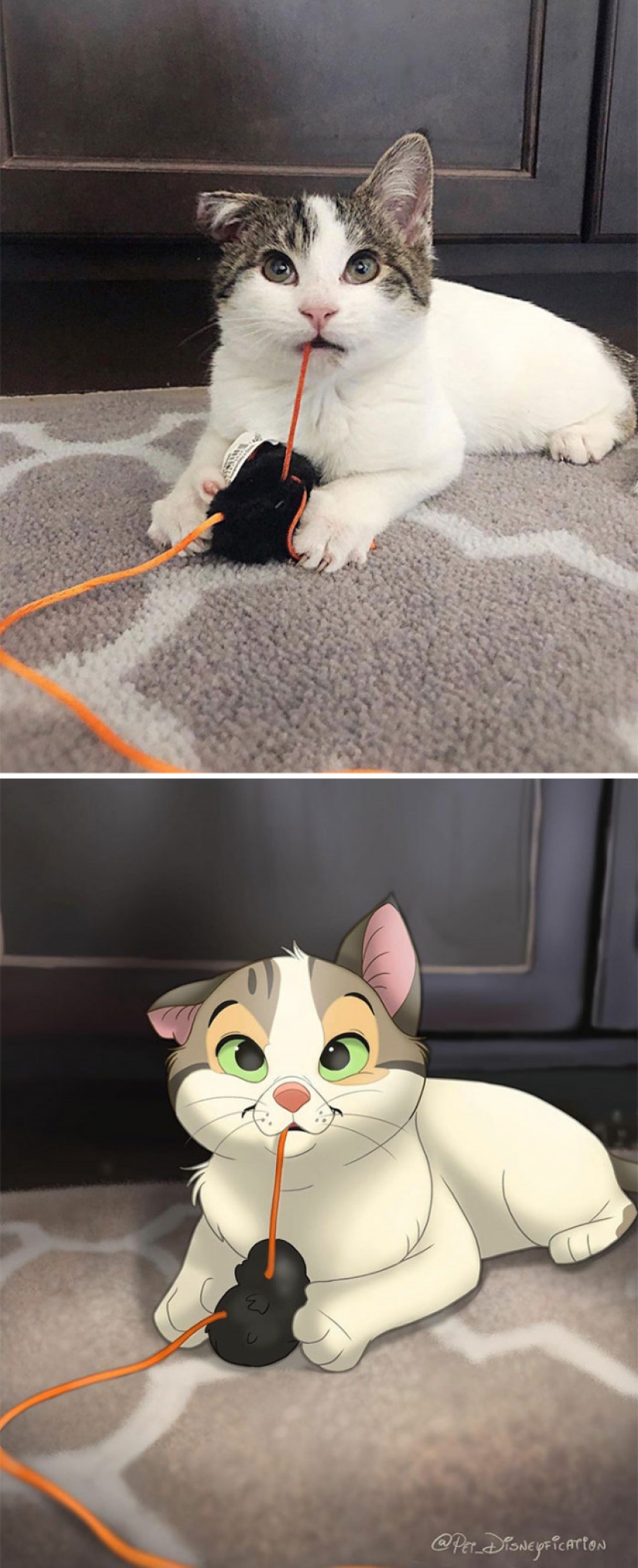Artista holandés convierte animales en personajes de Disney