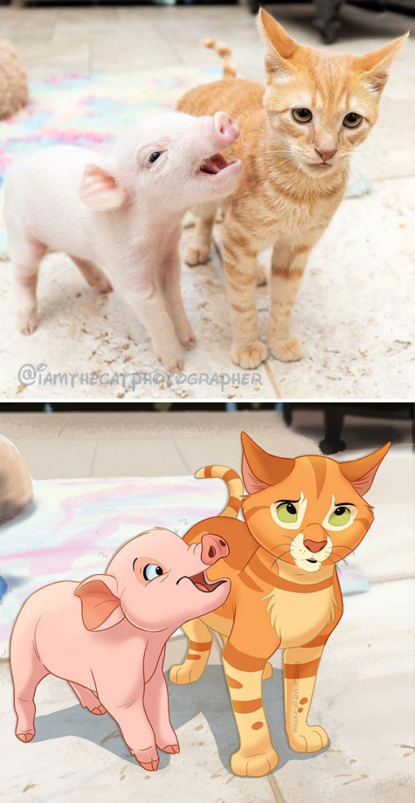 Artista holandés convierte animales en personajes de Disney