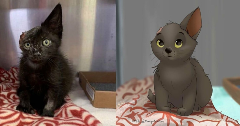 Artista holandés convierte animales en personajes de Disney