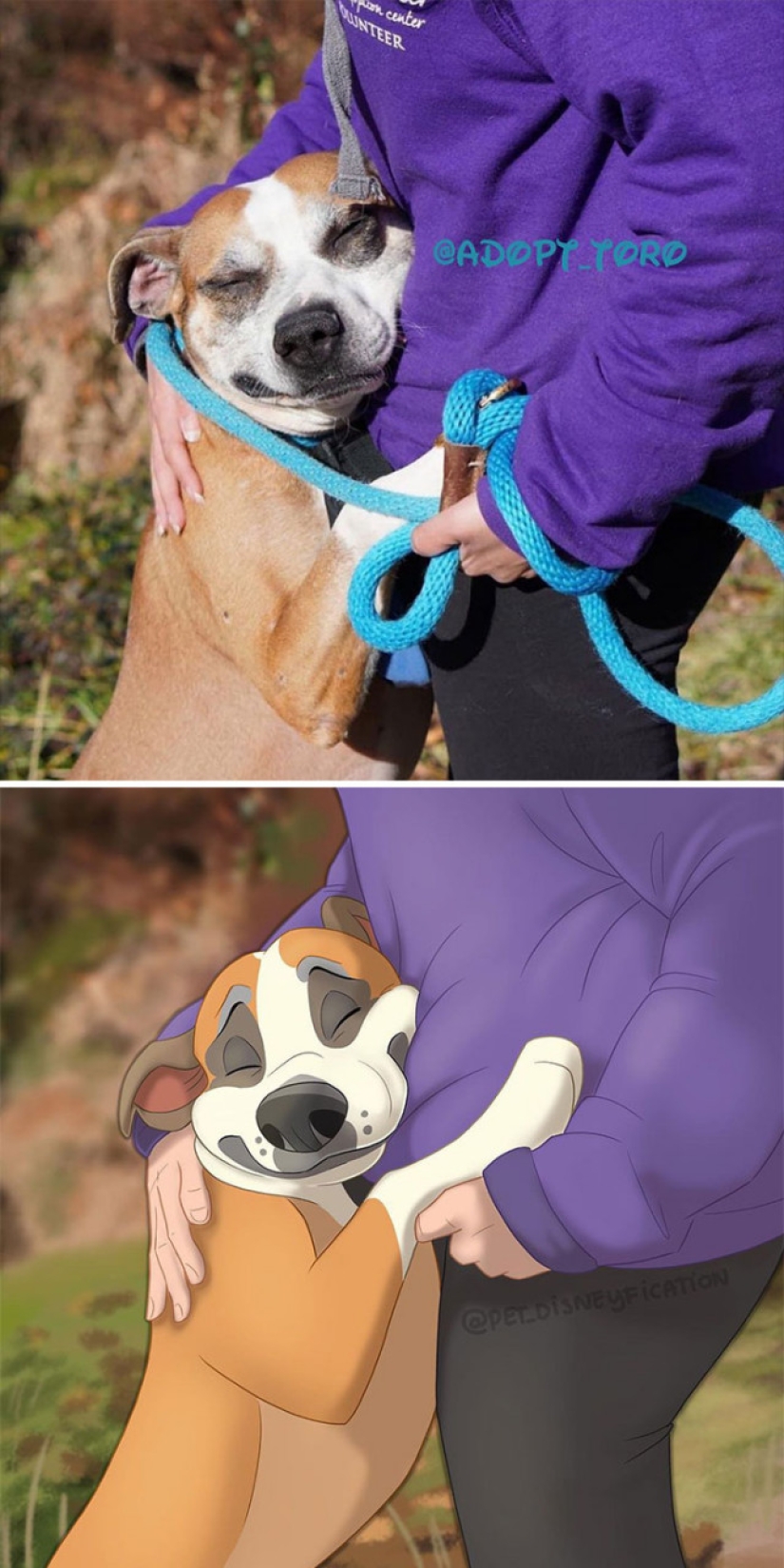 Artista holandés convierte animales en personajes de Disney