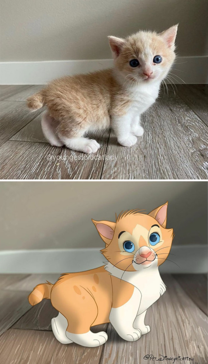 Artista holandés convierte animales en personajes de Disney