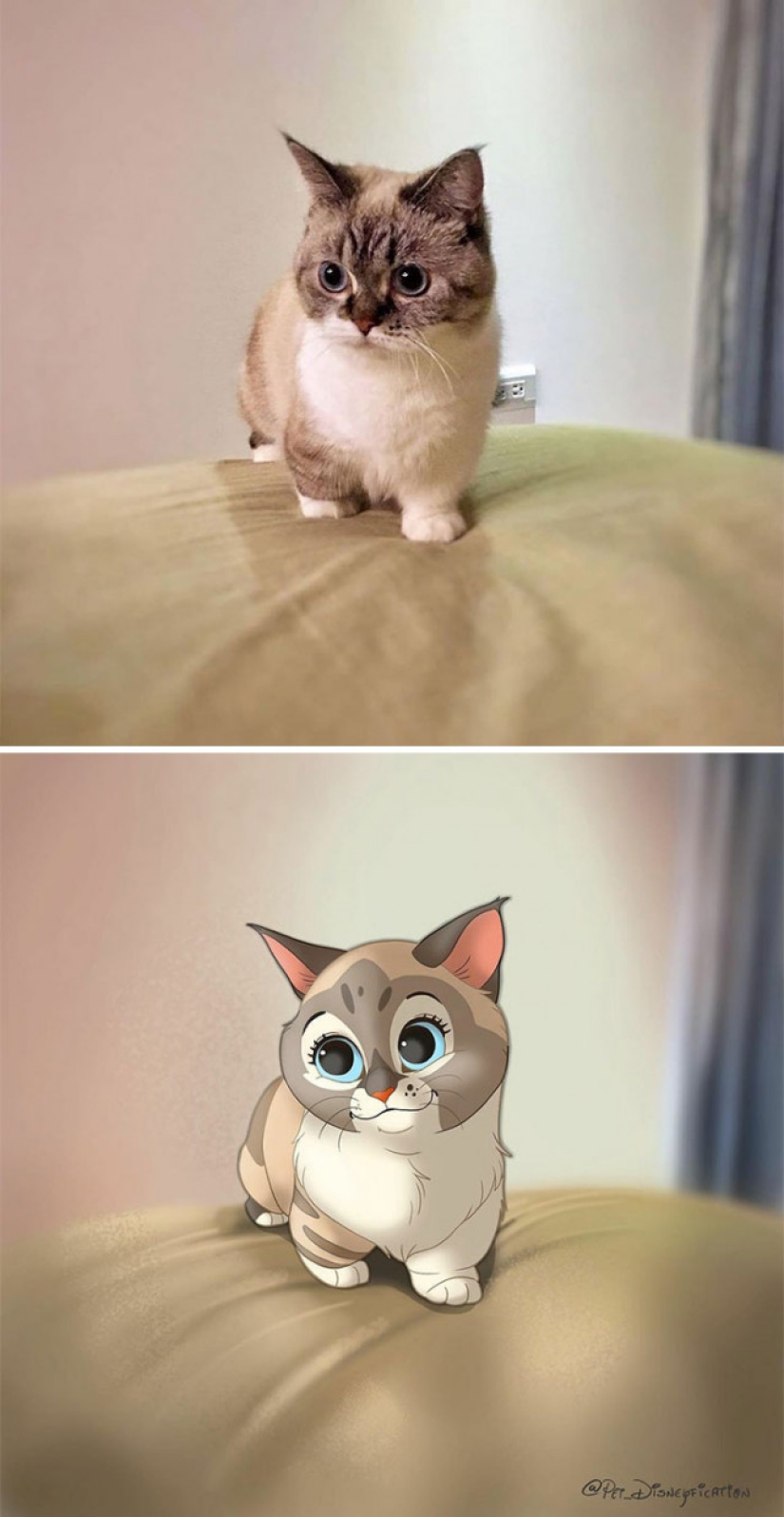 Artista holandés convierte animales en personajes de Disney