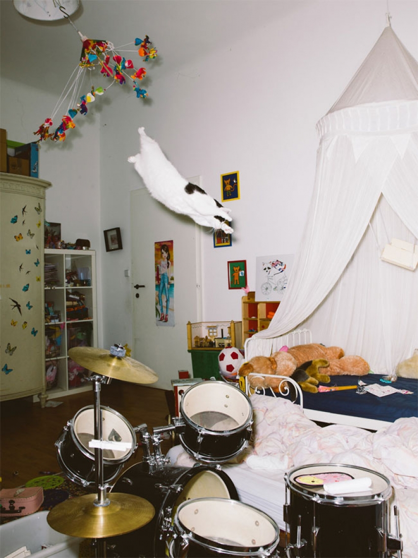 Austrian photographer takes a flying cats Austrian photographer takes a flying cats