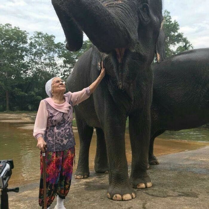 Baba Lena, quien estaba caminando sola: la historia de 91 años aventurero de Krasnoyarsk