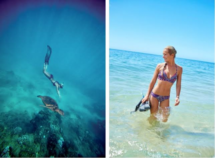 Beauty and the Beast: how a brave model from Hawaii saves white sharks