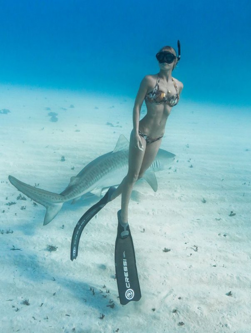 Beauty and the Beast: how a brave model from Hawaii saves white sharks