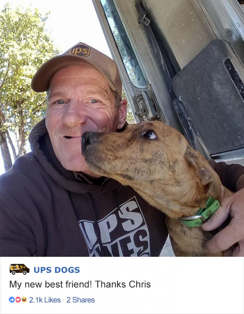 Best Pen pal: how dogs meet american postmen