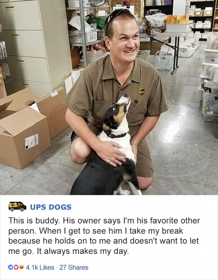 Best Pen pal: how dogs meet american postmen