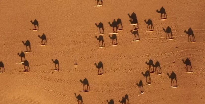 Big is seen from a distance: winners of the Drone Photo Awards 2020