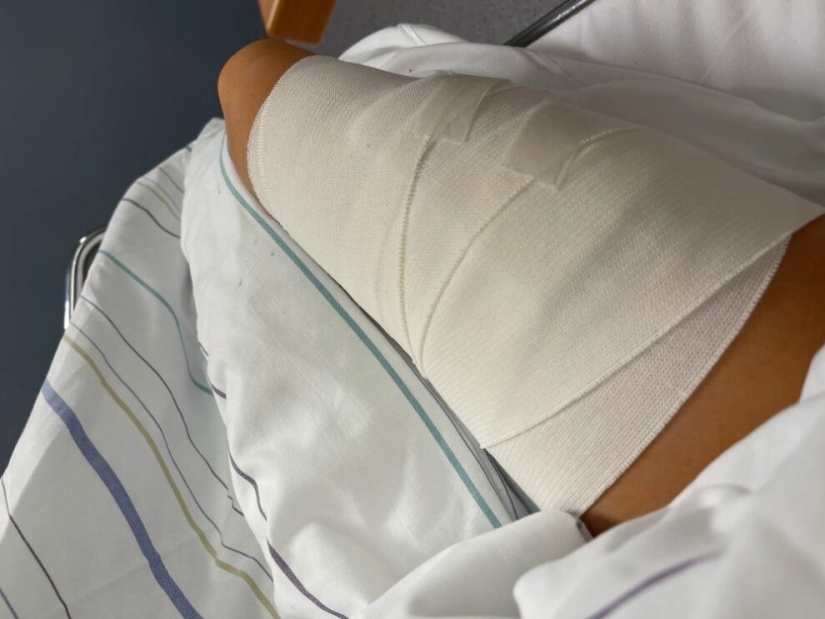 Blogger noruego casi muere durante una selfie con un cerdo doméstico