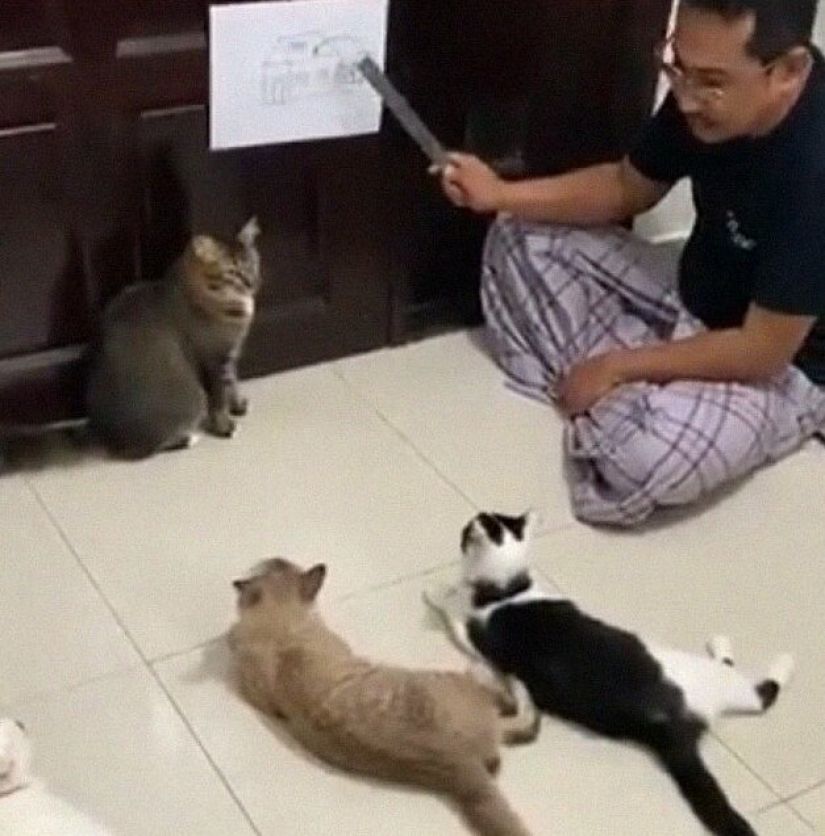 Boring quarantine: 25 unique ways to have fun in isolation