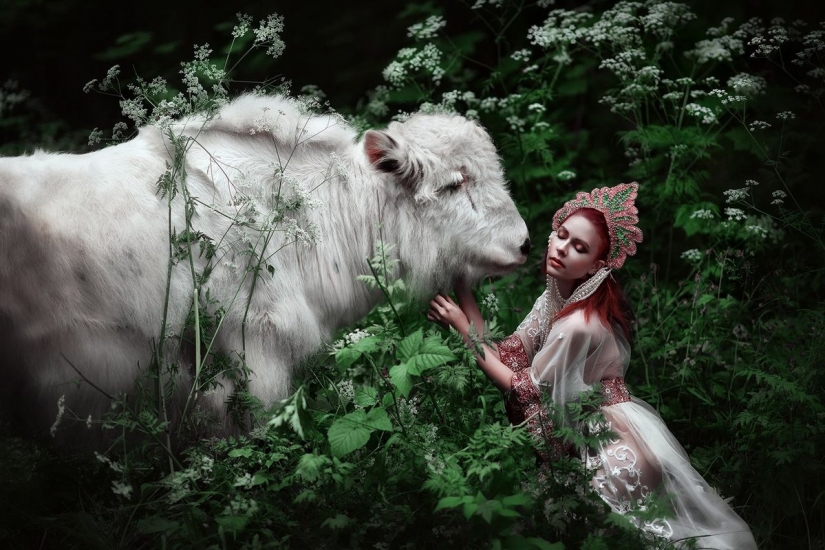 Bosque de la Princesa y las sirenas: Perm fotógrafo toma fabuloso bellezas en los bosques de la región Kama Bosque de la Princesa y las sirenas: Perm fotógrafo toma fabuloso bellezas en los bosques de la región Kama