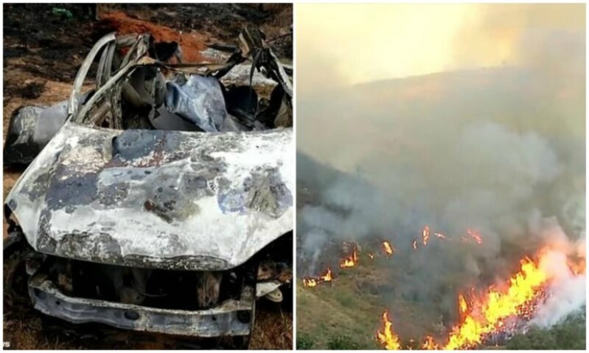 Brazilian pensioner burned 700 hectares of protected forest and killed hundreds of animals because of an insurance scam