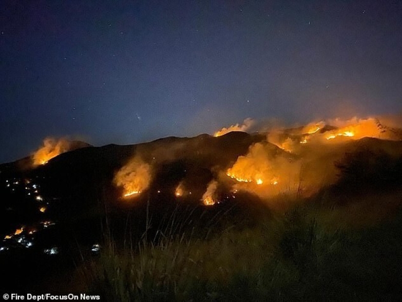 Brazilian pensioner burned 700 hectares of protected forest and killed hundreds of animals because of an insurance scam