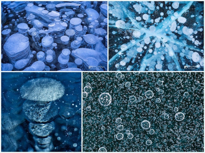 Burbujas de aire congeladas en el lago Burbujas de aire congeladas en el lago