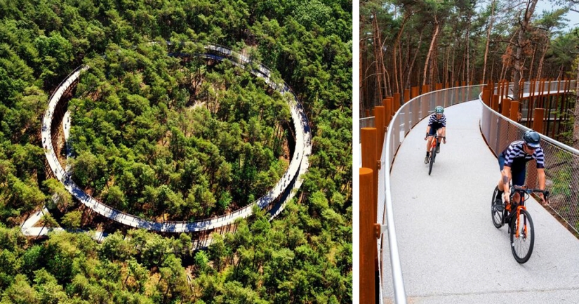 Carril bici en Bélgica le permite viajar a través del bosque a una altura de 10 metros sobre el suelo