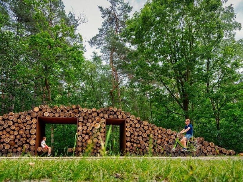 Carril bici en Bélgica le permite viajar a través del bosque a una altura de 10 metros sobre el suelo