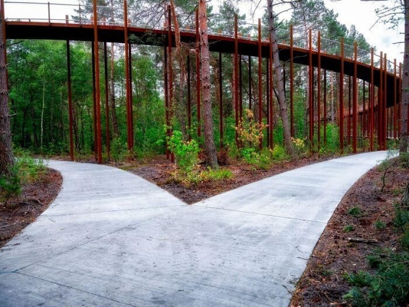 Carril bici en Bélgica le permite viajar a través del bosque a una altura de 10 metros sobre el suelo