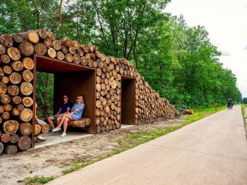 Carril bici en Bélgica le permite viajar a través del bosque a una altura de 10 metros sobre el suelo