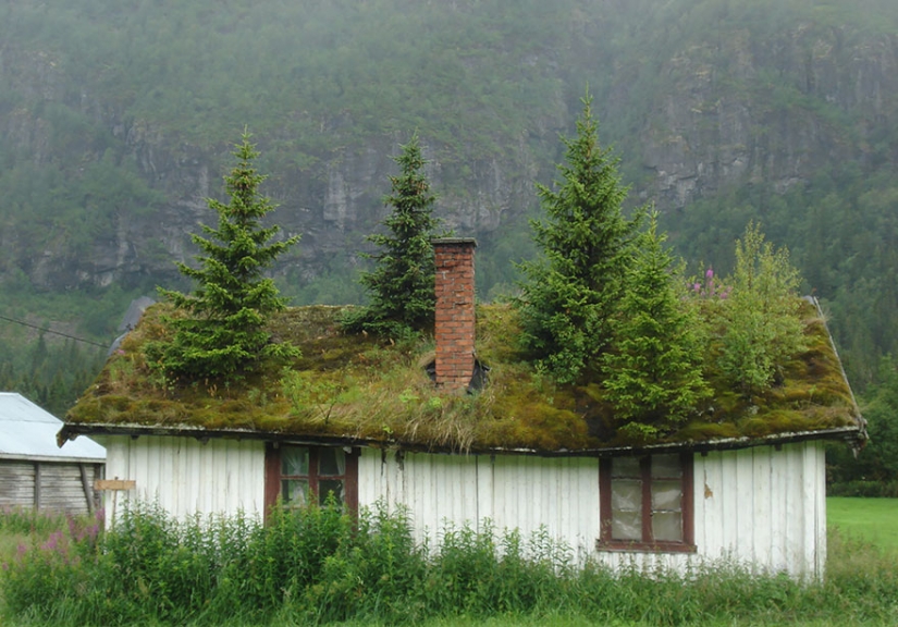 Casas escandinavas con techos verdes que parecen un cuento de hadas Casas escandinavas con techos verdes que parecen un cuento de hadas
