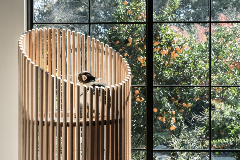 Cat house made of marble and wood for half a million rubles Cat house made of marble and wood for half a million rubles