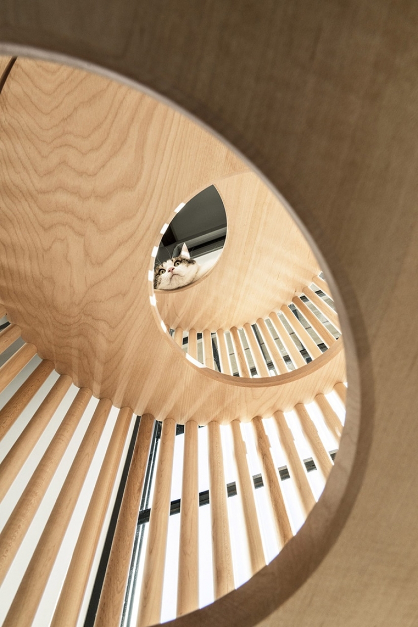 Cat house made of marble and wood for half a million rubles Cat house made of marble and wood for half a million rubles