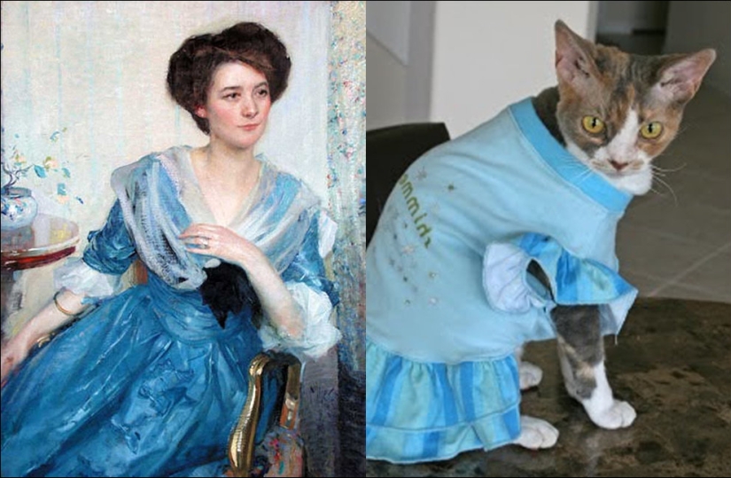 Cats and art Cats and art