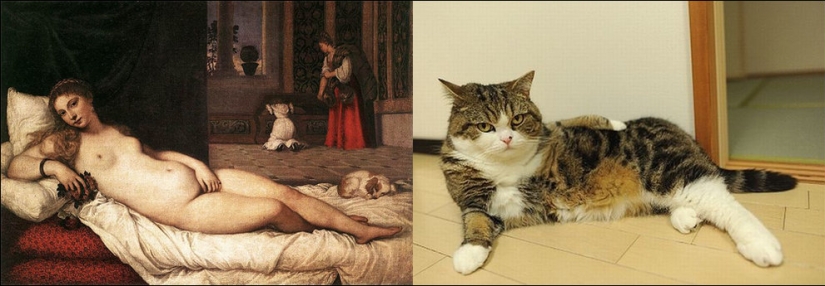 Cats and art Cats and art