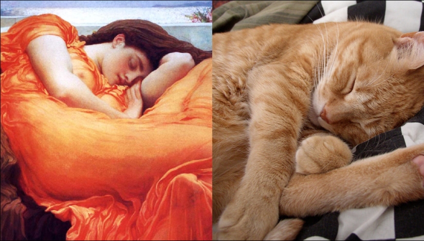 Cats and art Cats and art
