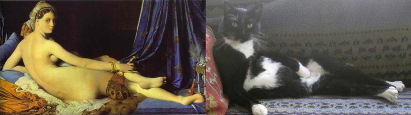 Cats and art Cats and art