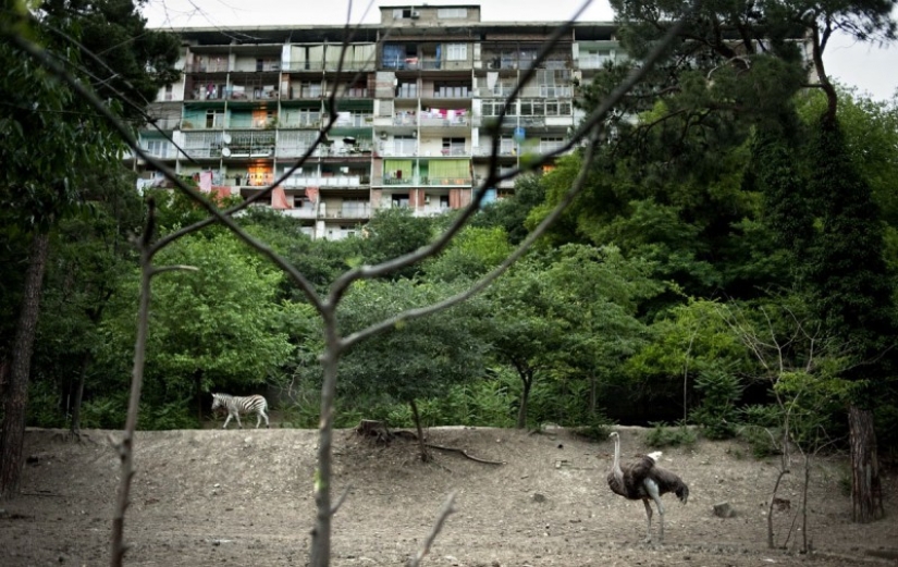 Cerca del Mar Negro Cerca del Mar Negro