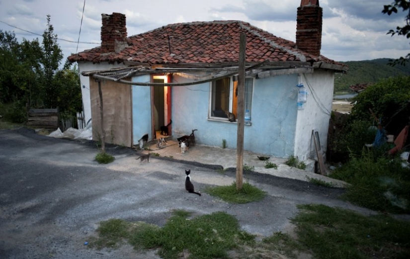 Cerca del Mar Negro Cerca del Mar Negro