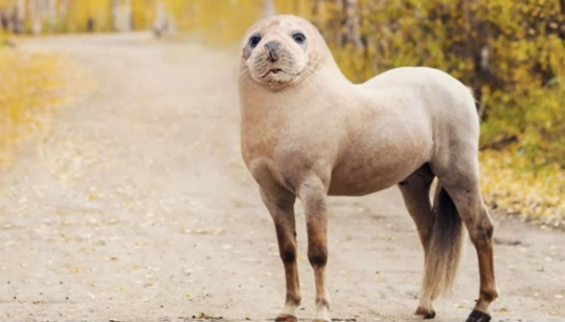Chaikobul, simianolev y sovorys: el artista hace híbridos de animales locos