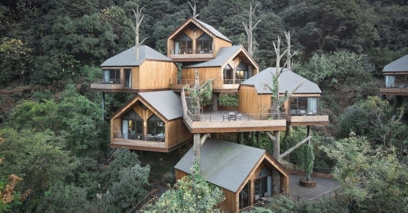 China built a magical hotel from tree houses China built a magical hotel from tree houses