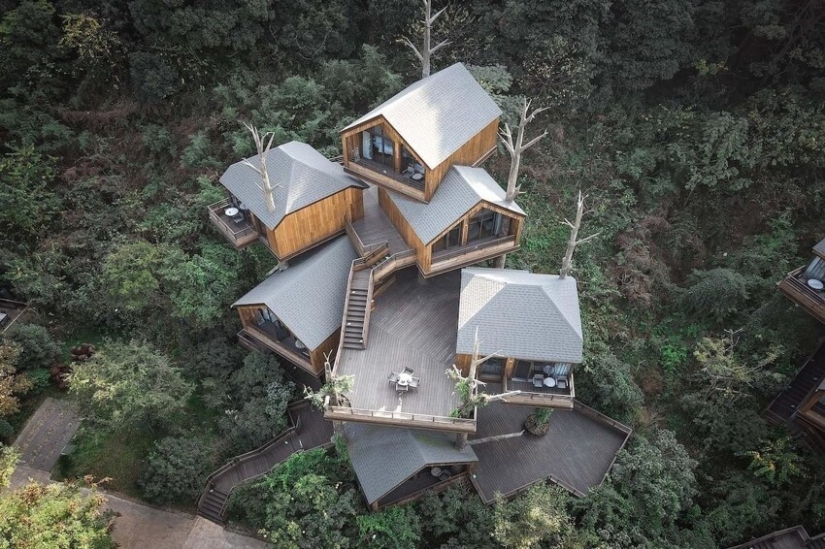 China built a magical hotel from tree houses China built a magical hotel from tree houses