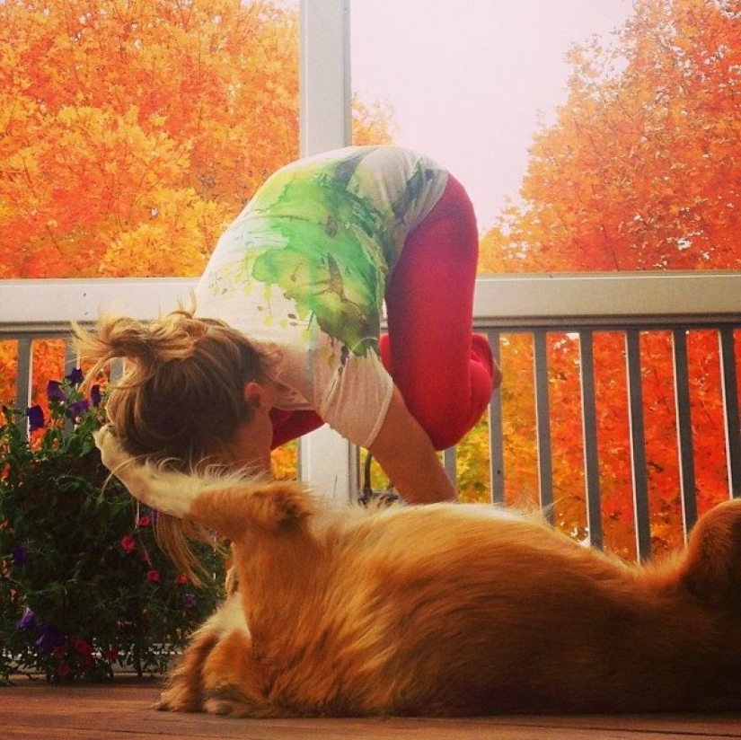 Clases de yoga en cualquier lugar