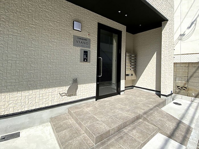 Cómo construir una casa para un solo gato, amantes de Japón