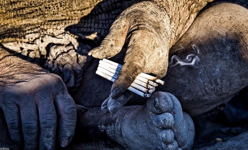 ¿Cómo es una persona que no se ha lavado en 60 años? ¿Cómo es una persona que no se ha lavado en 60 años?