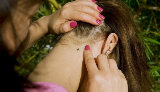 Cómo escapar de las garrapatas? Avisado significa armado Cómo escapar de las garrapatas? Avisado significa armado