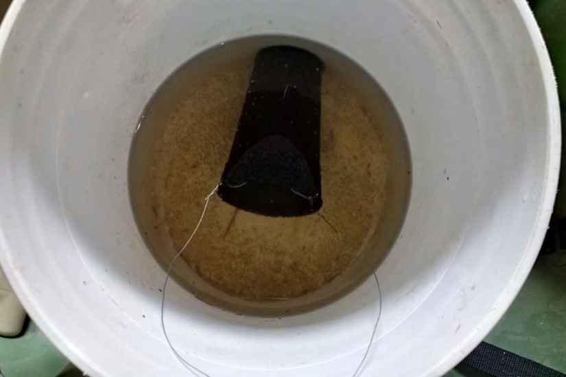 Cómo Hacer una Trampa Simple para mosquitos que Mata Insectos con un 98 por Ciento de Eficiencia
