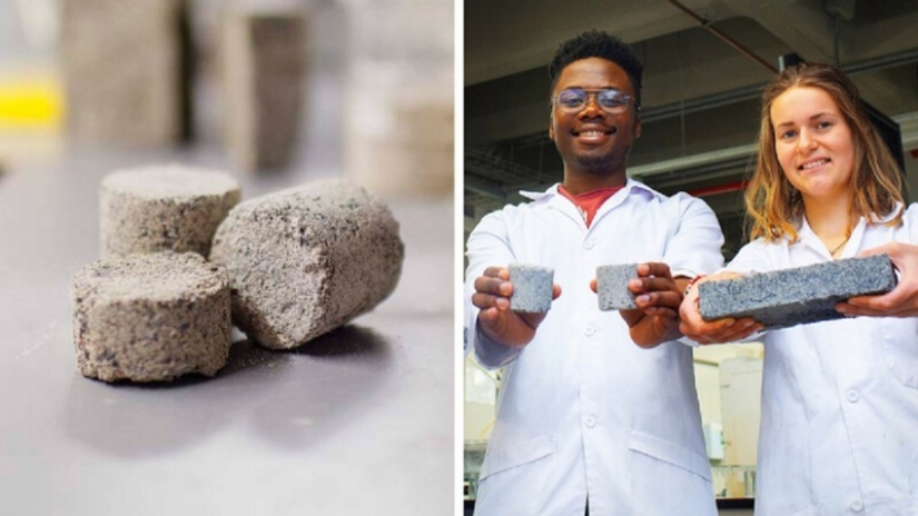 Cómo los estudiantes sudafricanos hacen ladrillos con la orina Cómo los estudiantes sudafricanos hacen ladrillos con la orina