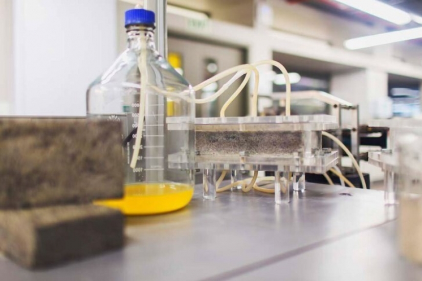 Cómo los estudiantes sudafricanos hacen ladrillos con la orina Cómo los estudiantes sudafricanos hacen ladrillos con la orina