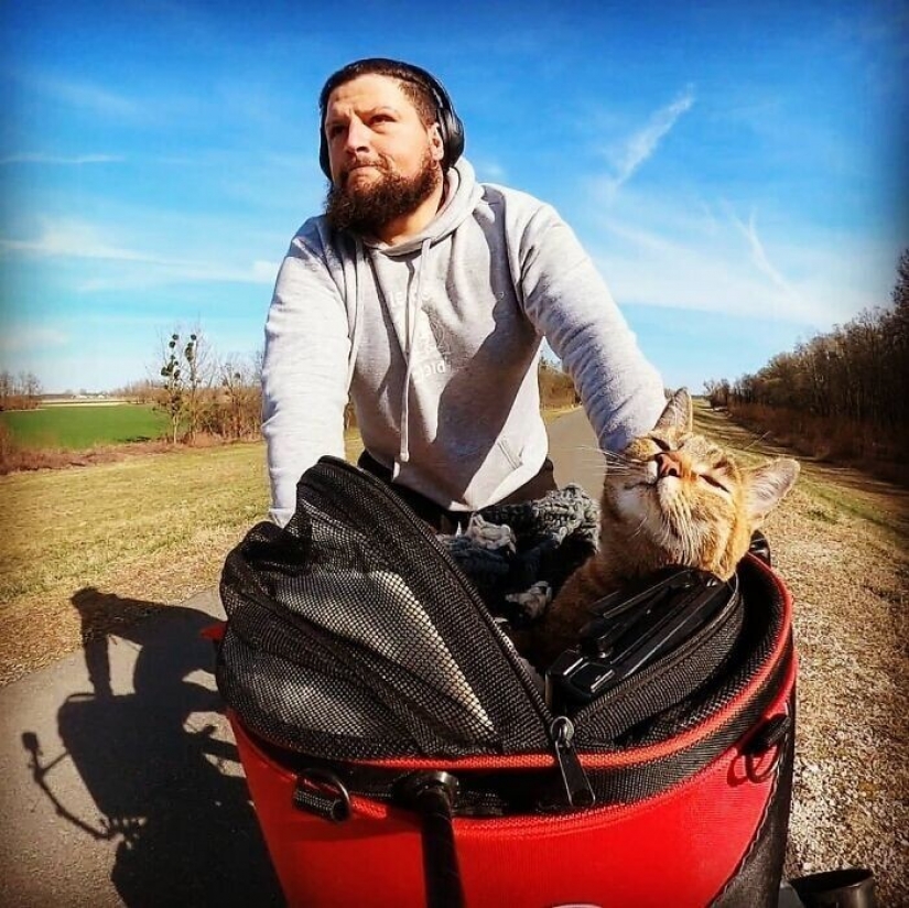 Cómo un gato y su hombre circunnavegan el mundo en una bicicleta Cómo un gato y su hombre circunnavegan el mundo en una bicicleta
