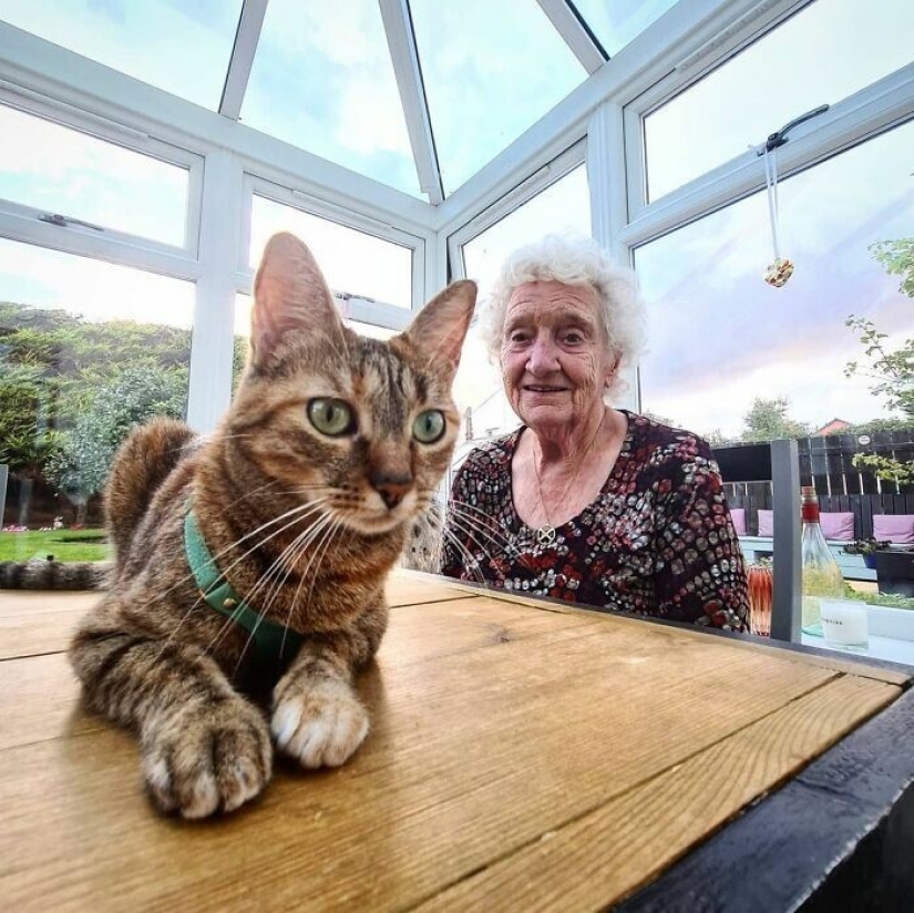 Cómo un gato y su hombre circunnavegan el mundo en una bicicleta Cómo un gato y su hombre circunnavegan el mundo en una bicicleta