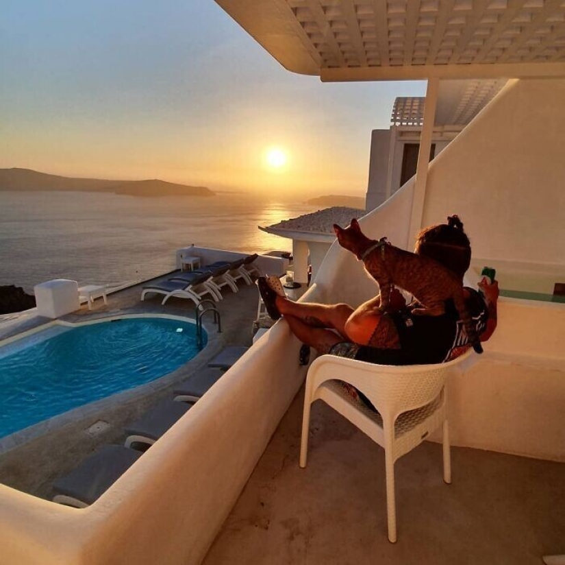 Cómo un gato y su hombre circunnavegan el mundo en una bicicleta Cómo un gato y su hombre circunnavegan el mundo en una bicicleta